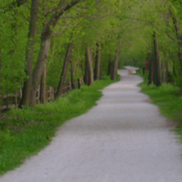 2narrowpath